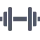 Gymnasium icon